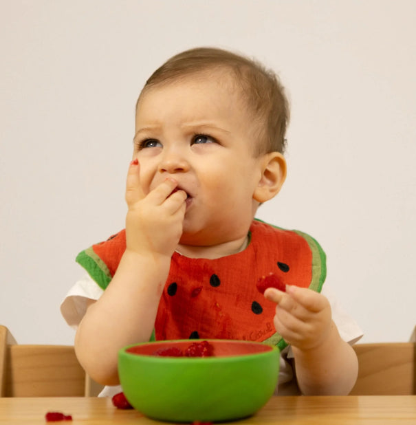 Oli & Carol Bowl and Spoon Set - Wally the Watermelon