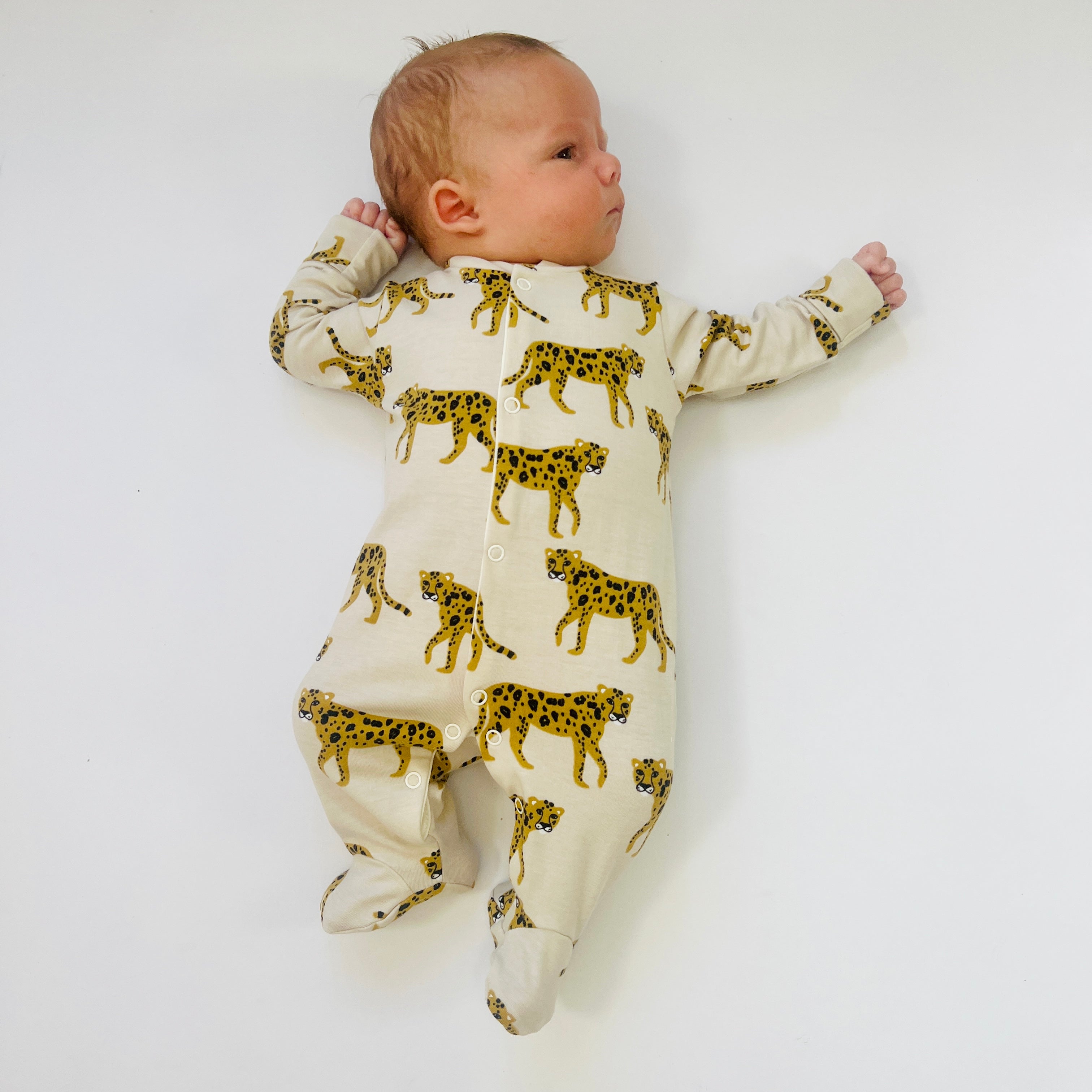 Eddie & Bee organic cotton Baby sleepsuit  in Oat " Cheetah " print.