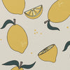 Eddie & Bee organic cotton T- Shirt in choice of prints