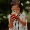 Handcrafted Sweet Strawberry Baby Rattle -Organic Cotton Toy