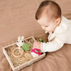 Rosy Radish Rattle