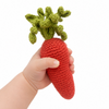 Carrot Rattle