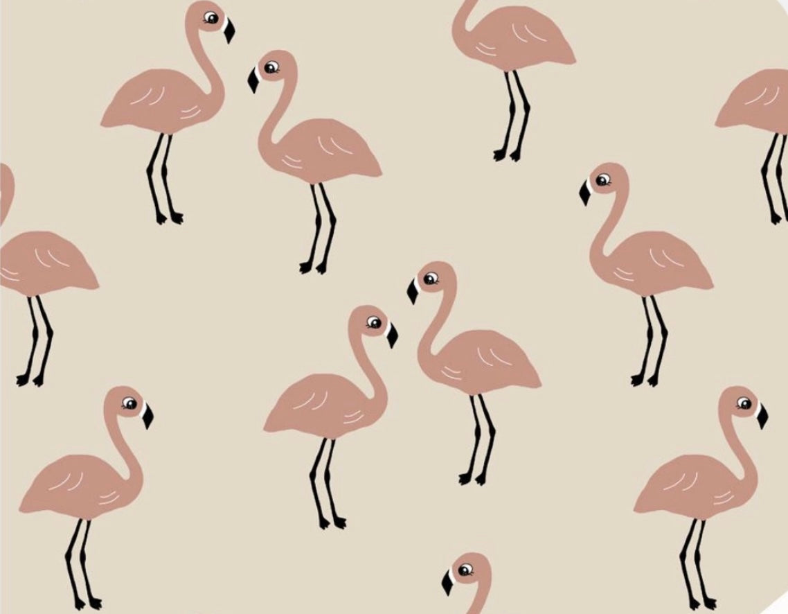 Oat “Flamingo ' Adult Organic cotton leggings