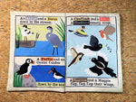 Nursery Times Crinkly Newspaper - All Sorts of Birds
