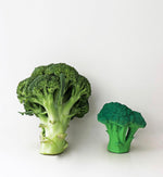 Brucy the Broccoli