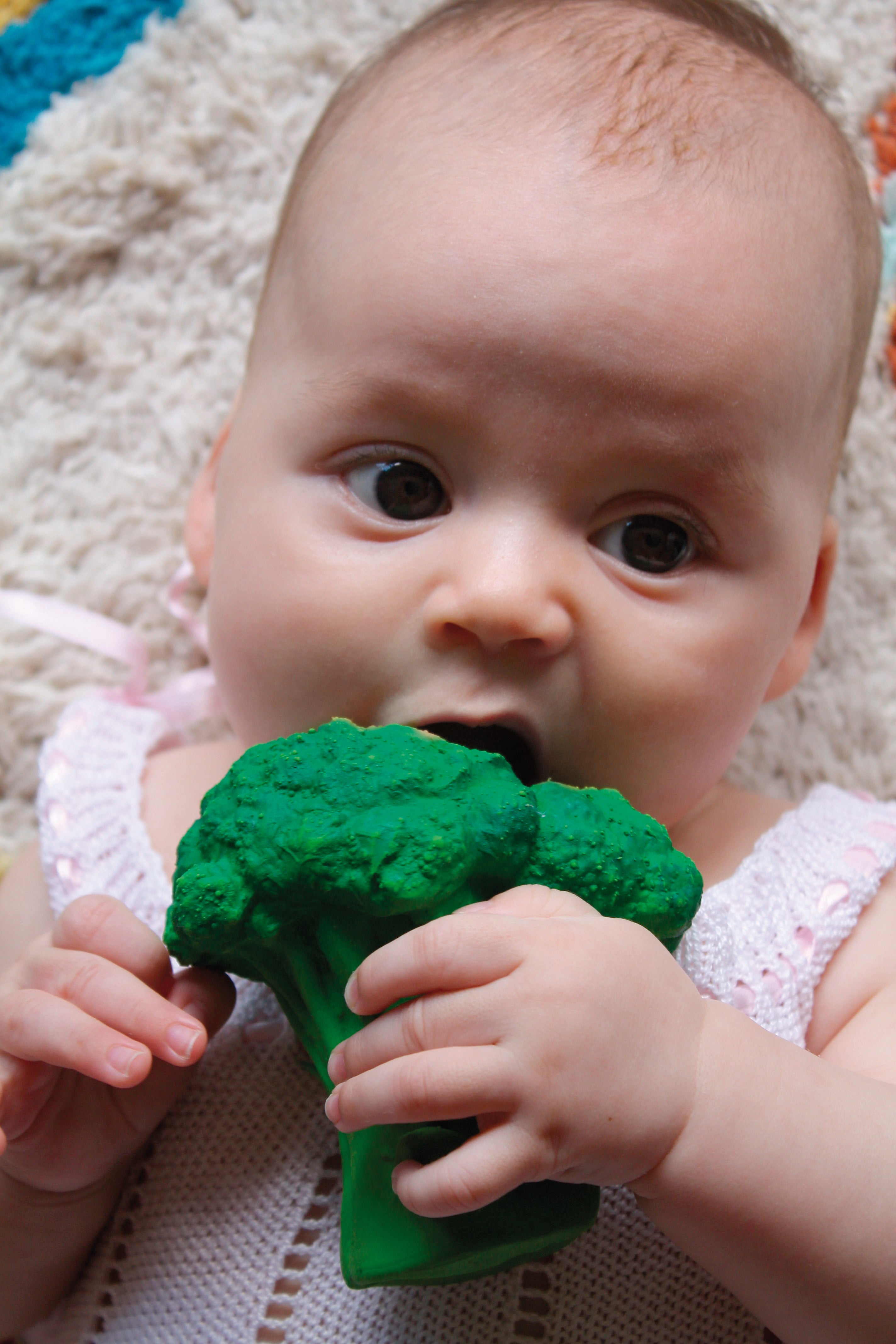 Brucy the Broccoli